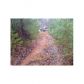 15 Point Of View Road, Blue Ridge, GA 30513 ID:5667750