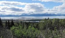 000 East Hill Road Homer, AK 99603