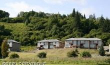 820 Quiet Creek Drive Homer, AK 99603