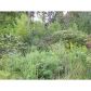 220 Black Knob Falls Drive, Ranger, GA 30734 ID:3366728