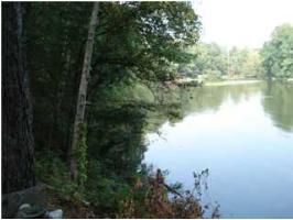 903 CR 404lot 56, Killen, AL 35645