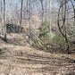 2556 Long Branch Road, Dahlonega, GA 30533 ID:5666558