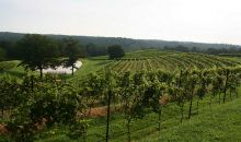 1 Strada Del Vino Dahlonega, GA 30533