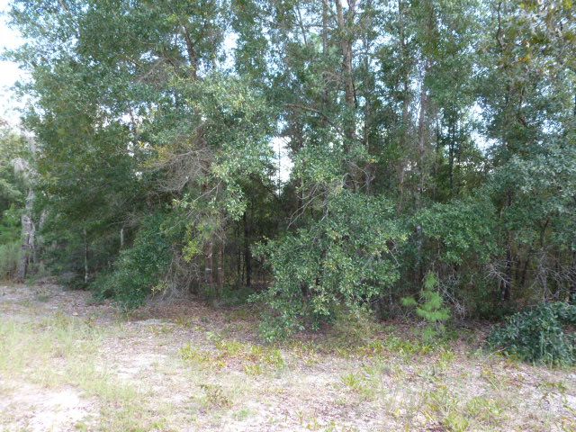 6742 Linwood Drive, Keystone Heights, FL 32656