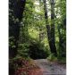 3 Joseph Anderson Trail, Ellijay, GA 30536 ID:6514506