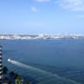 770 CLAUGHTON ISLAND DR # 1709, Miami, FL 33131 ID:747578