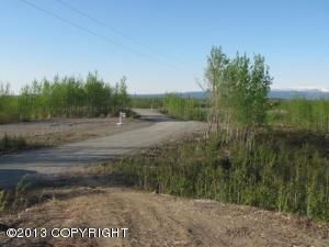 729 S Ashley Road, Big Lake, AK 99652