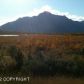 13902 E River Vista Circle, Palmer, AK 99645 ID:1513666