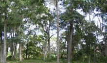 Lot 25 Oakview Subdivision Apn R510 Hilton Head Island, SC 29926