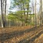 0 Woodland Bluff Lane, Mineral Bluff, GA 30559 ID:7252510