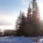 29026 Caribou View Lane, Homer, AK 99603 ID:7054296