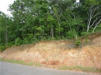 Lot #30-oak Hill Acres Subdivi  Apn, Newton, AL 36352