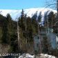 315 CORTINA Road, Girdwood, AK 99587 ID:7063774