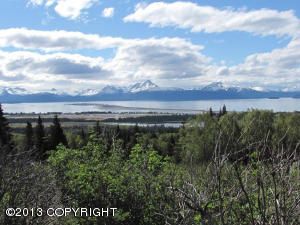 000 East Hill Road, Homer, AK 99603