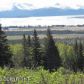 000 East Hill Road, Homer, AK 99603 ID:6889945