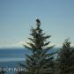 42080 Ness Circle, Homer, AK 99603 ID:6890114