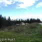 178 Skyline Drive, Homer, AK 99603 ID:6889937