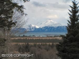 4630 Hough Road, Homer, AK 99603