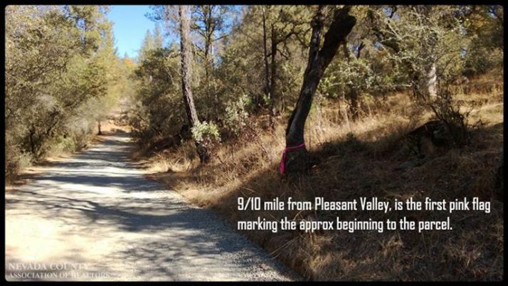 17625 Black Forest Rd, Penn Valley, CA 95946