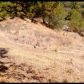 17625 Black Forest Rd, Penn Valley, CA 95946 ID:1136897