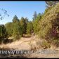 17625 Black Forest Rd, Penn Valley, CA 95946 ID:1136899