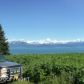 L8 Suchaview Road, Homer, AK 99603 ID:6889000