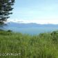 L8 Suchaview Road, Homer, AK 99603 ID:6889001