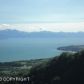 L8 Suchaview Road, Homer, AK 99603 ID:6889006