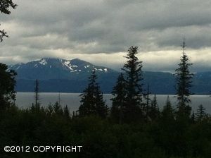 2630 Highland Drive, Homer, AK 99603