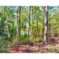 0 War Hill Road, Dawsonville, GA 30534 ID:3874512