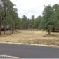 17779 Silver Pine Dr, Penn Valley, CA 95946 ID:1136883