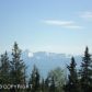 53901 E End Road, Homer, AK 99603 ID:6889062