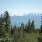 53901 E End Road, Homer, AK 99603 ID:6889063