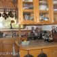 58639 East End Road, Homer, AK 99603 ID:6889080