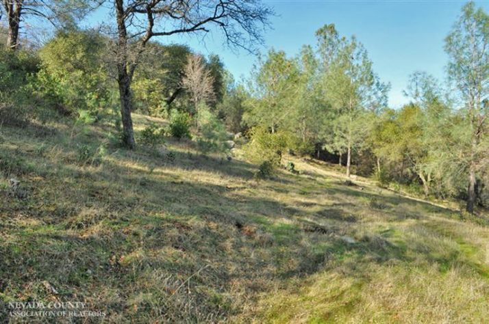 15094 Fickle Lake Lane, Penn Valley, CA 95946