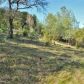 15094 Fickle Lake Lane, Penn Valley, CA 95946 ID:1136872