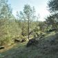 15094 Fickle Lake Lane, Penn Valley, CA 95946 ID:1136873