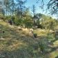 15094 Fickle Lake Lane, Penn Valley, CA 95946 ID:1136875