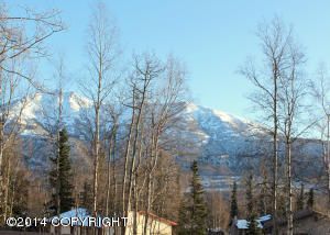 19237 Andreanof Drive, Eagle River, AK 99577