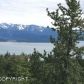 L4 B1 Cottonwood Hill Avenue, Homer, AK 99603 ID:6888578