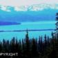 Tr 2 Moonbeam Lane, Homer, AK 99603 ID:6889433