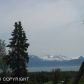 L2 Sibson Drive, Homer, AK 99603 ID:6888586