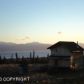 55195 Finch Street, Homer, AK 99603 ID:6889048