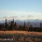 55195 Finch Street, Homer, AK 99603 ID:6889050