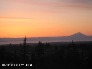 40628 Walrath Circle, Homer, AK 99603