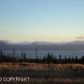 55195 Finch Street, Homer, AK 99603 ID:6889051