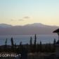 55195 Finch Street, Homer, AK 99603 ID:6889052