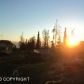 55195 Finch Street, Homer, AK 99603 ID:6889053