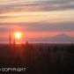 40628 Walrath Circle, Homer, AK 99603 ID:6888923