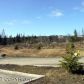 3563 Greatland, Homer, AK 99603 ID:6889317